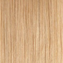 (19) #18 Medium Blonde (Color sample)