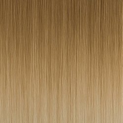 (29) #11/1001 Balayage (Color sample)