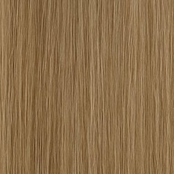 (17) #11 Ash Brown (Color sample)