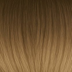 (28) #8/18 Balayage (Color sample)