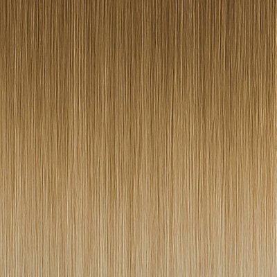 #11/1001 Balayage (Color sample)