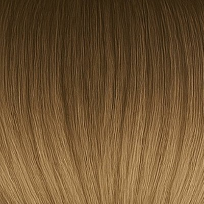 #8/18 Balayage (Color sample)